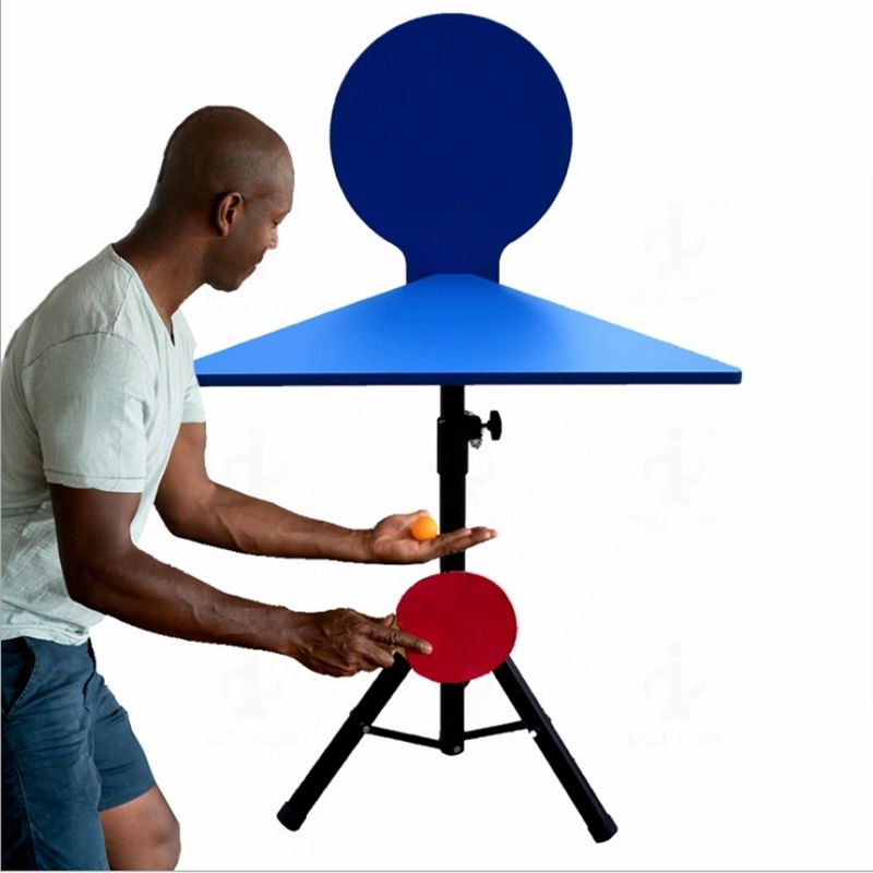 WAP02 Tavola di Rimbalzo per P - Table Tennis Height recensione e prezzo