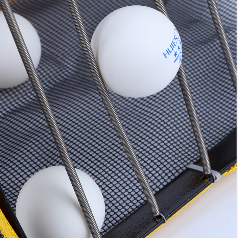 Raccoglitore di palline da pin - Table Tennis Vr recensione e prezzo