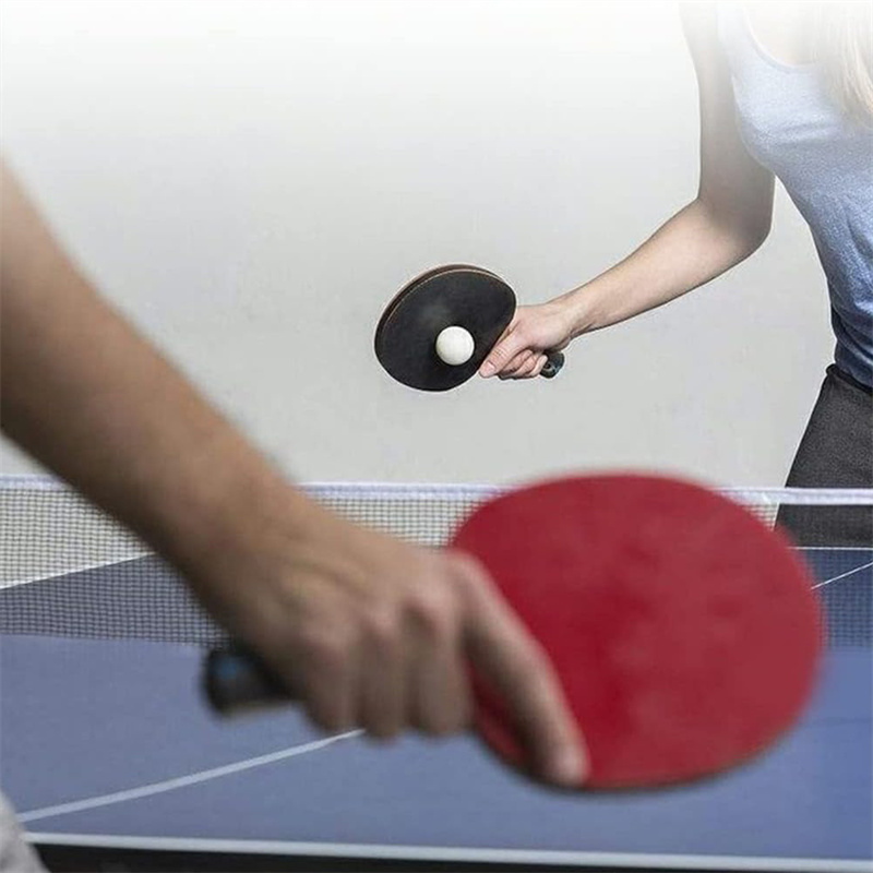 Rete da ping pong portatile po - Table Tennis Online recensione e prezzo