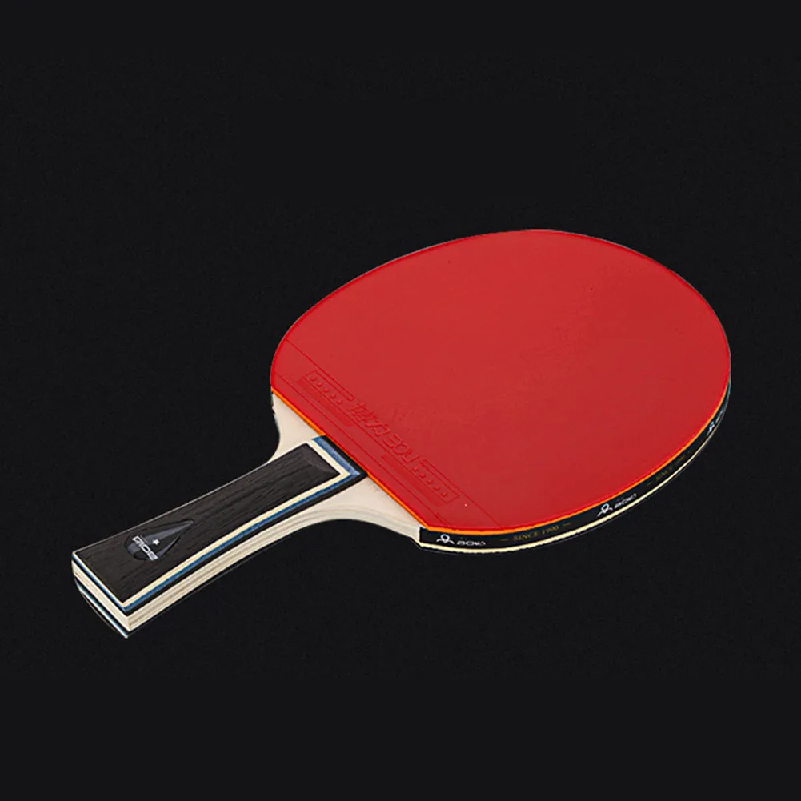 Racchetta da Ping Pong con For - Table Tennis Grip Types recensione e prezzo
