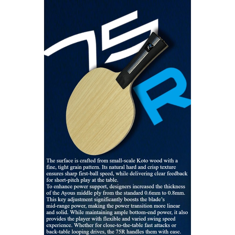 SANWEI 75R 5+2 Outer H-GLC Tel - Table Tennis Blades recensione e prezzo